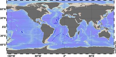 Estimating Primary Production of Picophytoplankton Using the Carbon-Based Ocean Productivity Model: A Preliminary Study